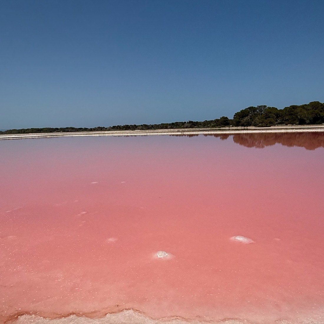 Horizonte del salar de Formentera con su reflejo en el agua